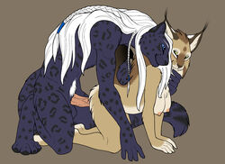 anthro ayelet aylie bagheera_(fursona) breasts couple doggy_style feline female from_behind fur furry hair hanging_breasts leopard lynx male penis sex straight white_hair