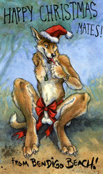 anthro balls blotch canine christmas claws diego dingo dog's_days_of_summer fur furry holidays male male_only nude piercing sheath solo