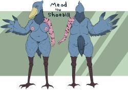 20th_century_fox 20th_century_studios absurd_res anthro avian bird blu_waifu blue_sky_studios breasts exelzior fan_character female genitals hi_res mead_the_shoebill_(blu_waifu) model_sheet nipples pelecaniform pussy rio_(series) scar shoebill slightly_chubby solo