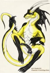 ayelet balls black black_penis centrifuge colors dragon erection fins grin hindpaw horns long_tail looking_at_viewer male_only penis precum scalie smile solo tail toenails webbed_feet yellow