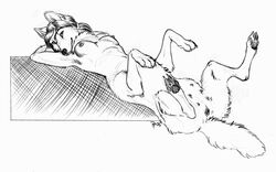 anthro breasts canine drawn female filipp_peteranderl multi_breast nude reclining silber sketch solo syrini taur wolf