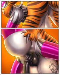 anal anal_sex anthro balls big_balls bodily_fluids cum cum_in_ass cum_inside equid equine felid genital_fluids genitals hi_res inflation inflation kaeldu latex male male/male mammal pantherine partran_(tiger) penetration pink_latex quillu rubber tiger zebra