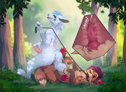 amazon_position anatomically_correct anthro arctic_fox bodily_fluids canid canine collar cum cum_drip cum_in_ass cum_inside danny_vaughan detailed_background dominant dominant_male dripping duo forest forest_background fox foxforger fur genital_fluids hi_res horitoy internal knot leash leash_and_collar leash_pull looking_at_another looking_at_partner looking_down male male/male male_penetrated male_penetrating male_penetrating_male mammal multicolored_body multicolored_fur nature nature_background on_bottom on_top onomatopoeia penetration plant precum precum_drip red_fox reverse_amazon_position sex smiling_at_partner sound_effects submissive submissive_male text tree valorean_snowheardt