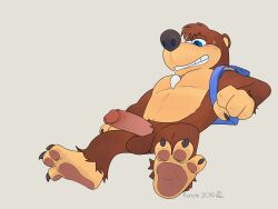 anthro backpack balls banjo-kazooie banjo_(banjo-kazooie) bear boner erection furry gay korichi looking_at_penis male male_only penis rareware shark_tooth_necklace solo solo_male spread_legs sweatdrop ursid video_game_character