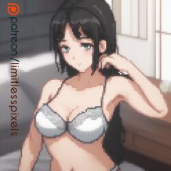 black_hair bra breasts limitless_pixels long_hair pixel pixel_(artwork) pixel_art pixelated sfw silver_eyes sister underwear