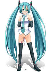 hatsune miku from vocaloid by eto