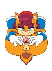 anus ass chipmunk colorized colorized_edit furry half-closed_eyes leatherruffian mobian_(species) mobian_chipmunk naked_footwear pussy sally_acorn sega sonic_(series) sonic_the_hedgehog_(archie) sonic_the_hedgehog_(comics) sonic_the_hedgehog_(series) spread_pussy third-party_edit vagina