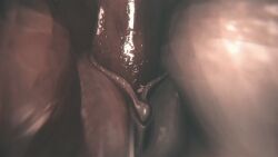 1boy1girl 3d animated canine canine_on_human canine_penis clitoris close-up dog extreme_close-up female_on_feral feral feral_on_female feral_on_human feral_penetrating feral_penetrating_human gif human_female human_on_feral human_penetrated imminent_knotting light-skinned_female pussy srvn tagme vagina vaginal vaginal_penetration zoophilia