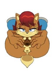 anus ass chipmunk colorized colorized_edit furry half-closed_eyes leatherruffian mobian_(species) mobian_chipmunk naked_footwear pussy sally_acorn sega sonic_(series) sonic_the_hedgehog_(archie) sonic_the_hedgehog_(comics) sonic_the_hedgehog_(series) spread_pussy third-party_edit vagina