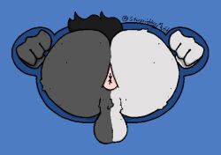 anthro anus ass black_body black_fur black_tail canid canine canis domestic_dog freckles fur grey_body grey_fur male mammal questionable_consent red_eyes solo split_color stuck stupidassmutt tail through_wall white_body white_fur zepheras