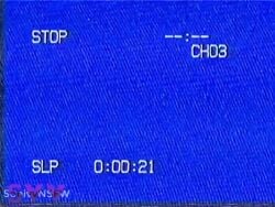 2girls 3d animated anthro ass ass_jiggle ass_jiggling breasts cally3d caught_naked caught_off_guard chica_(fnaf) chiku chiku_(cally3d) chiku_(cryptia) chiku_(cryptiacurves) completely_nude completely_nude_female cryptiacurves fazclaire's fazclaire's_nightclub female female_only fexa fexa_(cally3d) fexa_(cryptia) fexa_(cryptiacurves) five_nights_at_freddy's fnaf foxy_(fnaf) fredina's_nightclub grin huge_ass jiggle_physics jiggling jiggling_ass jiggling_breasts jiggling_butt naked naked_female nude nude_female shaking shaking_ass shaking_butt shieldshroud sonivvnsfw sound sound_edit sound_effect sound_effects sound_warning sounding surprised surprised_reaction tagme vhs vhs_filter video voice voice_acted