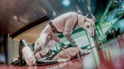 1boy1girl dog laying_on_back muzzle original_character penis_near_face sere_(srvn) sony_(srvn) srvn standing_over tagme zoophilia