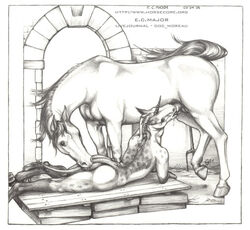 2005 animal anthro barn bestiality couple deep_throat deepthroat ecmajor equine fellatio feral hooves horns horse horsecock interspecies male mane monochrome on_front oral oral_sex penis sex shaded tail_biting unicorn