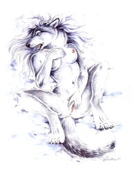 anthro breasts canine female fur furry heather_bruton masturbation nipples on_back pussy snow solo spread_legs spreading white_fur wolf