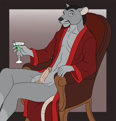 1boy alcohol anthro chair classy clothing holding_cup holly_marie_ogburn male male_only martini penis raganzi rat robe rodent side_view sitting solo tagme wine_glass