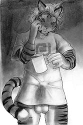 1boy anthro arjuna balls bottomless bulge coffee erection feline fur furry male male_only monochrome penis pinup shaded sketch solo tent tiger