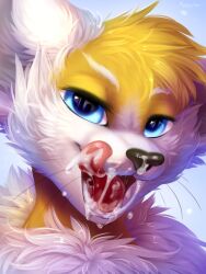 3:4 akatosh anthro bedroom_eyes blonde_hair bloominglynx blue_background blue_eyes bodily_fluids bust_portrait cheek_tuft chest_tuft cum cum_in_mouth cum_inside cum_on_chin cum_on_tongue cum_string ear_tuft eyelashes facial_tuft front_view fur furry gay genital_fluids glistening glistening_eyes hair head_tuft hi_res looking_at_viewer looking_pleasured male mouth_shot narrowed_eyes open_mouth portrait post_orgasm saliva saliva_string sharp_teeth short_hair signature simple_background solo sonic_(series) sonic_the_hedgehog_(series) tails tales tongue tuft white_body white_fur yellow_body yellow_fur