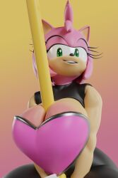 amy rose from sonic (series)