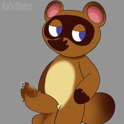 animal_crossing anthro circumcised furry hi_res humanoid_genitalia humanoid_penis kais_studios large_penis lidded_eyes male nintendo penis solo_male tanuki tom_nook