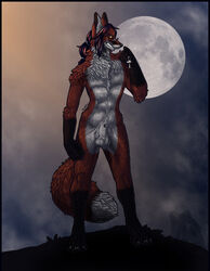 ankh anthro canine casual farorenightclaw fox fully_sheathed fur furry glasses male male_only nude sheath solo