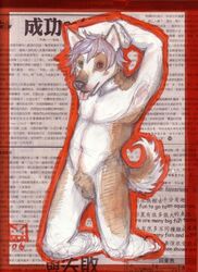 1boy 2006 anthro canine color fur furry heterochromia husky male male_only nitrogen nude sheath solo