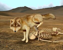 canine ebon_lupus feral looking_at_viewer male obvious_symbolism peeing skeleton solo watersports what wolf