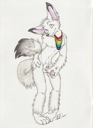 anthro canine erection fennec fox fur furry kwik male male_only necklace nude penis rainbow rainbow_necklace rainbow_symbol solo