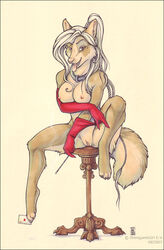 anthro breasts brown canine card chair cigar classy collar female fur furry gloves hair nude purple_eyes pussy red_gloves shinigamigirl sitting smoking solo stool white_hair wolf