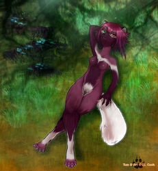 breasts color female furry fursona grass heterochromia m_cook nude overhead purple_hair pussy reclining ren solo