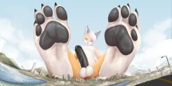 4_toes absurd_res anthro barefoot black_pawpads building canid canine city cityscape claws erection feet foot_fetish fox fur genitals girly hi_res humanoid_genitalia humanoid_penis landscape macro male mammal micro nude pawpads paws penis soles solo solutionwcs toes white_body white_fur yellow_body yellow_eyes