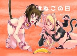 2girls alternate_costume aroegrut banana bell_collar big_breasts black_gloves black_panties blonde_hair breast_size_difference brown_eyes brown_hair canon_genderswap cat_ears cat_lingerie cat_tail catgirl choker cleavage cleavage_cutout elbow_gloves female female_only fingerless_gloves genderswap_(mtf) gintama gloves kneeling kondou_goriko kondou_isao lingerie long_hair panties ponytail rule_63 shimura_tae side-tie_panties small_breasts sweatdrop thighhighs wrist_cuffs