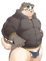 2022 anthro balls belly big_belly canid canine canis clothing domestic_dog ellie_saionji eyewear genitals glasses hi_res hoodie humanoid_hands kemono male male_only mammal overweight overweight_male penis simple_background solo topwear underwear