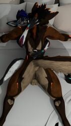 anthro anthro_only backsack blender_(software) canid canine dutch-wolf fur furry furry_only jex jexouium looking_pleasured male_penetrated rexis rexouium sex tagme tongue_out twitter vr_media vrchat vrchat_avatar