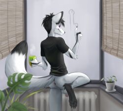 anthro anus beverage canid canine canis coffee darkcat613 drawing kori_rain male mammal paws plant smile solo window wolf