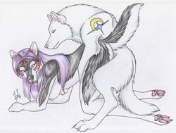 1boy 1girls animal anthro black blackfrost breasts canine female feral fur furry interspecies julie_wondra male paws sex straight tattoo tongue wolf