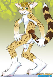 1boy anthro ass cheetah collar feline fur furry greenmonkey male male_only nude penis sheath solo