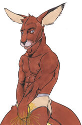 1boy furry kangaroo kangaroo-boy male male_only marsupial peeing solo underwear watersports