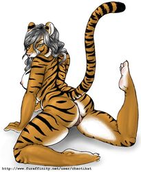 anthro anus ass black breasts chaotikat chubby feline female fur furry grey_hair hair half-closed_eyes hindpaw long_hair looking_at_viewer looking_back nude orange plantigrade plump_labia pose pussy sideboob solo stripes tail tiger white_background white_fur yellow_eyes