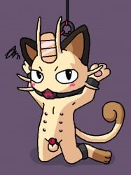 2026 6_nipples aliasing animal_genitalia animal_penis ball_gag balls black_ears blush blush_lines bondage bound brown_inner_ear brown_markings brown_paws brown_tail_tip chastity_cage chastity_device cuff_(restraint) cute_fangs digital_media_(artwork) dipstick_tail emanata fangs frustrated frustration_cloud fully_sheathed fur gag generation_1_pokemon genitals hi_res kneeling looking_at_viewer male markings meowth meowth_(team_rocket) multi_nipple nintendo nipples nude pawpads paws penis pixel_vibri pokemon pokemon_(species) raised_arms restraints semi-anthro sheath simple_background solo spreader_bar suspension tail tail_markings tan_body tan_fur team_rocket teeth three-quarter_view whiskers