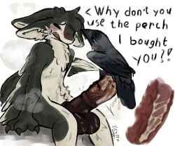 2026 3_fingers 4_ears animal_genitalia animal_penis anthro anthro_on_feral anthro_penetrated artist_name asking_another asking_partner avali avian balls beak big_balls big_penis biped bipedal_feral bird black_balls black_body black_claws black_feathers black_feet black_fur black_genitals black_hair black_penis black_wings blue_eyes blush bodily_fluids breath chest_tuft claws closed_eyes colored corvid corvus_(genus) countershade_face countershade_torso countershading cum cum_drip cum_exchange cum_in_balls cum_in_penis cum_in_urethra cum_inside cum_on_penis cutaway dialogue digital_drawing_(artwork) digital_media_(artwork) digitigrade dominant dominant_feral dripping duo ears_back ears_down ejaculation emanata embarrassed embarrassed_male english_text equine_genitalia equine_penis erection exclamation_point facial_tuft feathered_wings feathers feet feral feral_penetrating feral_penetrating_anthro finger_claws fingers flared_penis fluffy foot_fetish foot_play fur fyr_(fenrir784) genital_fluids genitals gradient_penis grey_body grey_feathers hair hi_res huge_balls huge_cock hung_bottom hung_femboy internal internal_urethral interrobang interspecies jackdaw kestrel_(artist) larger_anthro larger_male larger_penetrated larger_sub leaking leaking_cum looking_at_another looking_pleasured male male/male male_anthro male_feral male_on_feral male_penetrated male_penetrating male_penetrating_anthro maleherm_(lore) medial_ring mismatched_animal_penis mismatched_genitalia mismatched_penis motion_lines multi_ear multicolored_body multicolored_feathers musk musk_cloud narrowed_eyes nervous nude nude_anthro nude_male open_mouth orgasm oscine passerine penetration penile penile_penetration penis penis_in_penis perching pink_genitals pink_penis pivoted_ears question_mark questionable_consent scuted_legs scutes sex shaded signature simple_background simple_shading sitting size_difference smaller_feral smaller_male standing_on_penis steam submissive submissive_anthro sweat sweatdrop sweaty_balls sweaty_genitalia tail tail_feathers talon_fetish tapering_penis teek text thick_penis throbbing throbbing_penis toes tuft tufted_fur two_tone_body two_tone_feathers urethral urethral_bulge urethral_penetration vein veiny_penis western_jackdaw white_background white_body white_feathers white_fur winged_arms wings zoophilia