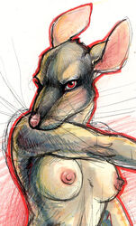 breasts bust female kabuki_homewood rat rodent sketch solo topless whiskers