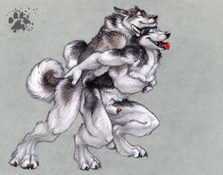 anal anal_sex anthro blotch canine canine_penis colored_background couple fur furry furry_only gay husky male no_humans nude peeping penetration penis sex sheath tess_garman wolf