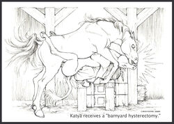 1boy 1girls animal anthro anthro_on_feral anthromorph barn character_request copyright_request ecmajor equine farm female feral furry hooves horse horsecock interspecies katya male missionary_position monochrome no_humans ouch penis sex straight uncensored unicorn