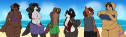 1boy 1futa 4girls absurd_res anthro beach belly big_belly big_breasts big_penis bird_dog border_collie breasts canid canine canis cleavage clothed clothing collie domestic_dog erection female futanari genitals group herding_dog herm hi_res huge_breasts hunting_dog husky intersex labrador lonnyk male mammal nipples nordic_sled_dog overweight overweight_female partially_clothed pastoral_dog penis retriever seaside sheepdog spitz swimwear wardrobe_malfunction