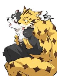 anthro blush canid canine canis closed_eyes domestic_dog duo embrace felid from_behind_position gay hi_res hug hugging_from_behind leopard licking lifewonders male male/male male_only mammal masanori_(tokyo_afterschool_summoners) muscular_arms muscular_legs neck_lick nordic_sled_dog nude ose_(tokyo_afterschool_summoners) pantherine sex shirako spitz tokyo_afterschool_summoners tongue tongue_out video_games yaoi