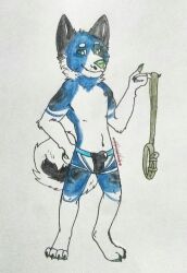 anthro biped black_body black_fur blue_body blue_fur bodily_fluids bondage bottomwear bulge canid canine canis claws clothed clothing collar cum cum_in_clothing cum_in_underwear cum_on_bulge cum_through_clothing cum_through_underwear domestic_dog fur genital_fluids genitals green_eyes green_nose hair hi_res husky jockstrap jockstrap_only leash leash_and_collar looking_at_viewer male mammal nordic_sled_dog penis simple_background smile smirk solo spitz tempest_(drifty_wolf) underwear unknown_artist wet wet_clothing wet_underwear white_body white_fur