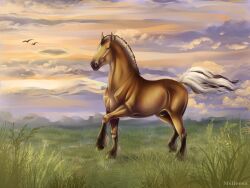 4:3 amber_eyes anatomically_correct anatomically_correct_genitalia animal_genitalia arvakr beesa draft_horse equid equine feral field_background fjord_horse genitals hi_res horse male mammal morning sheath solo sunrise trotting