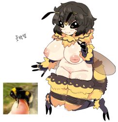 :3 antennae arthropod_girl arthropod_limbs bee bee_girl black_fur black_hair black_sclera blonde_hair breasts brown_wings bug bumblebee_(insect) closed_mouth colored_sclera completely_nude creature_and_personification female full_body hand_up insect_wings inverted_nipples korean_text large_breasts multicolored_fur multicolored_hair navel nipples nude nyong_nyong original photo_inset pussy short_hair simple_background smile solo thick_eyebrows thighs two-tone_fur two-tone_hair uncensored white_background wings yellow_eyes yellow_fur
