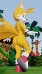 3d 9:16 anthro ass balls barely_visible_genitalia canid canine clothing exposed_torso femboy footwear fox fur furry furry_only genitals gloves handwear hi_res looking_at_viewer looking_back male male_only mammal mostly_nude palm_tree penis plant sega shoes solo sonic_(series) sonic_the_hedgehog_(series) tail tails tree twintails3d