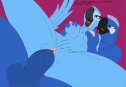 avian bird blue blue_body blue_skin clitoris drako1997 eduardo_(rio) feathers female furry incest jewel_(rio) looking_pleasured macaw parrot rio_(film) rio_(series) urethra